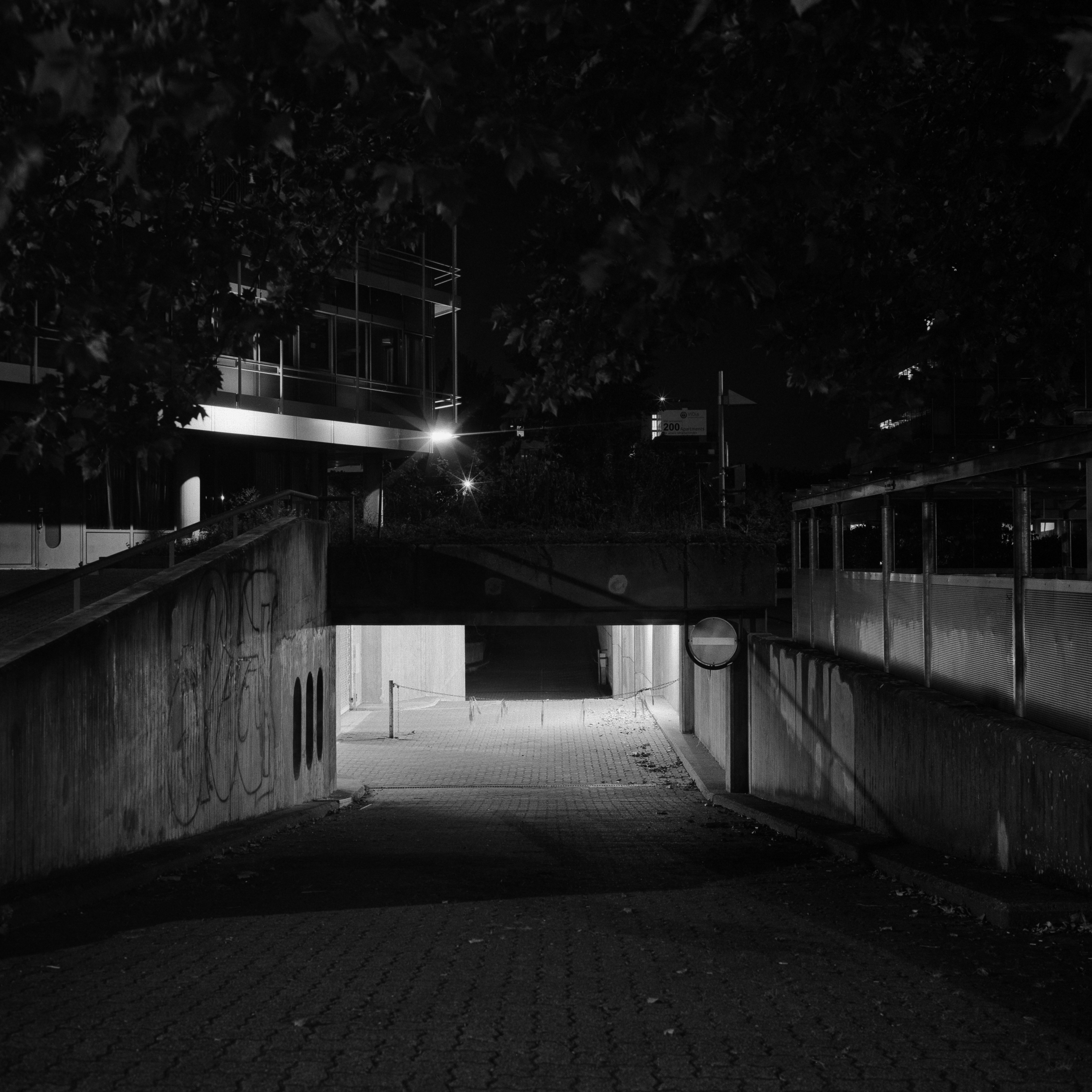 NACHTSCHATTEN #443