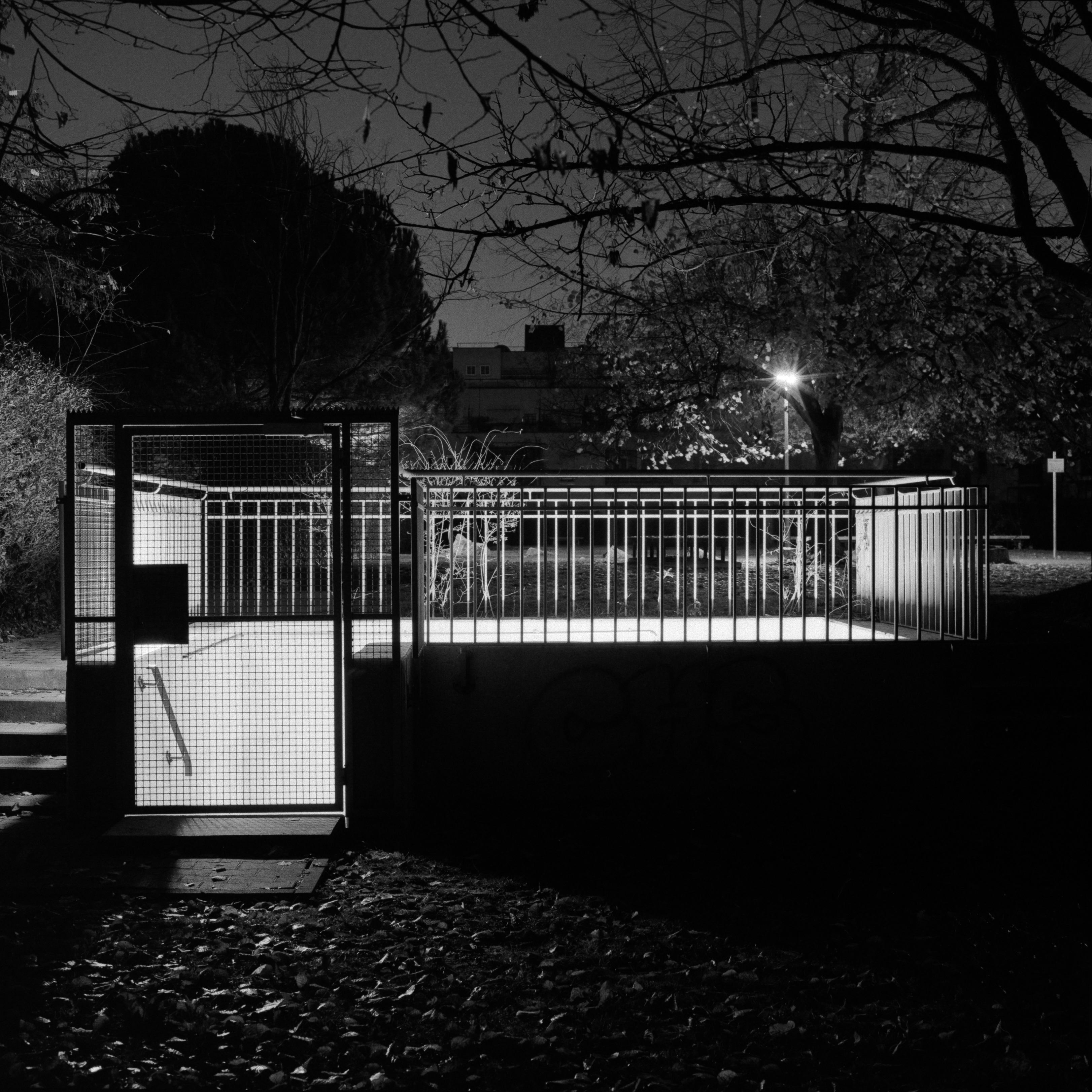 NACHTSCHATTEN #421